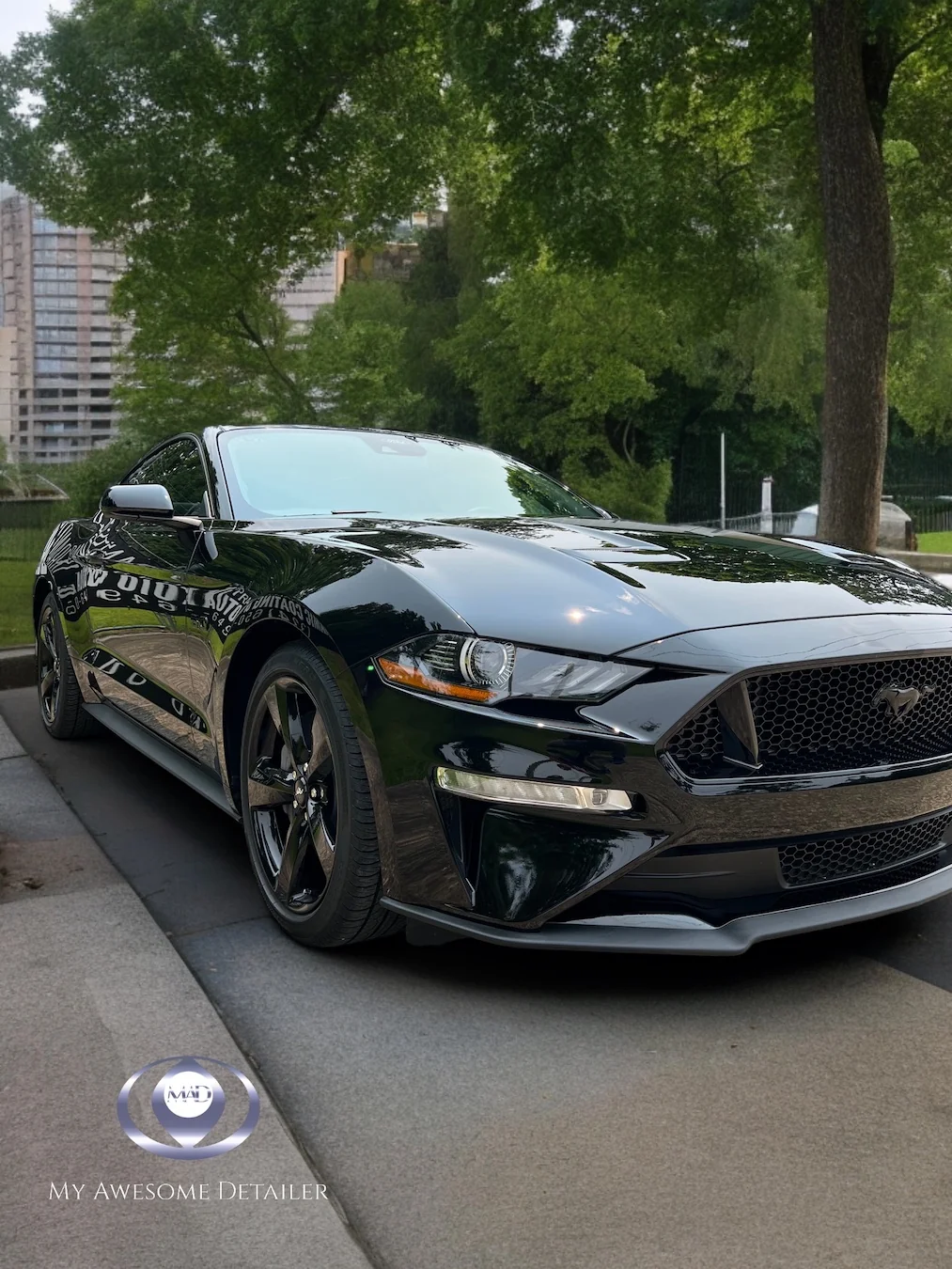 Black Mustang GT detailed